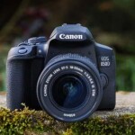 Canon-EOS 850D (EF-S18-55mm f/4-5.6 IS STM) Get Your Photography